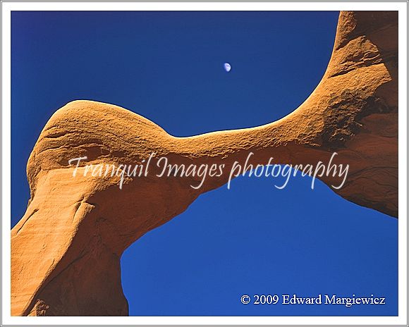 450644 Moonrise over Metate Arch